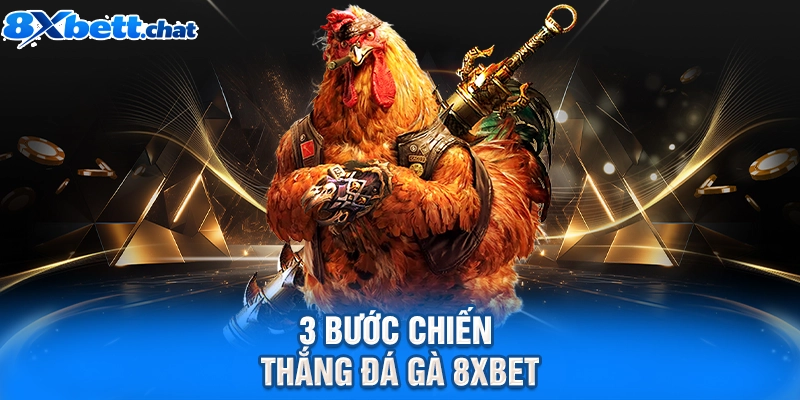3 bước chiến thắng đá gà 8XBET