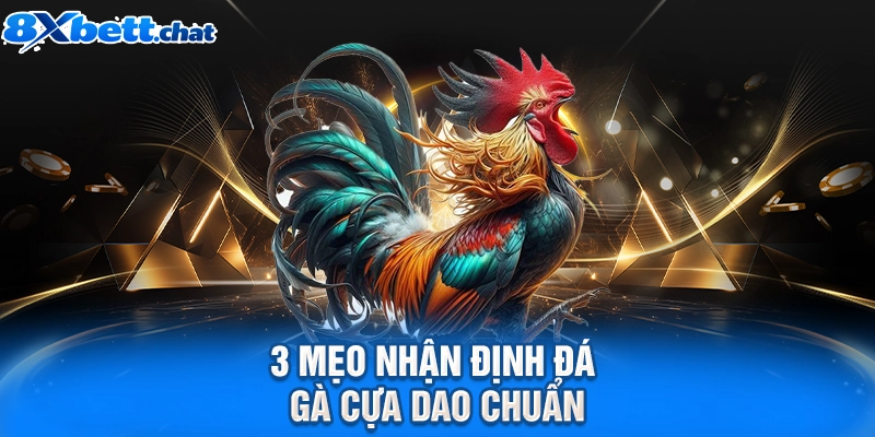3 mẹo nhận định đá gà cựa dao chuẩn