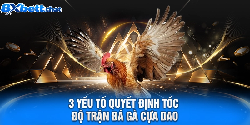 3 yếu tố quyết định tốc độ trận đá gà cựa dao