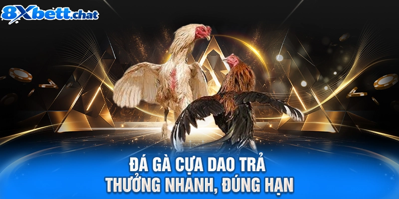 Đá gà cựa dao trả thưởng nhanh, đúng hạn