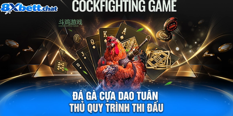 Đá gà cựa dao tuân thủ quy trình thi đấu