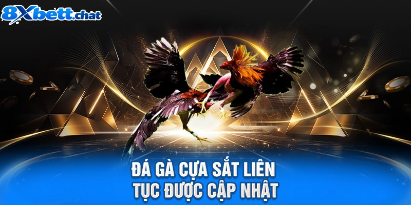 Đá gà cựa sắt liên tục được cập nhật
