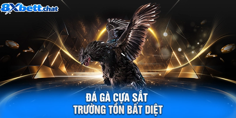 Đá gà cựa sắt trường tồn bất diệt